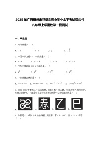2025年广西梧州市苍梧县初中学业水平考试适应性九年级上学期数学一模测试（含答案解析）