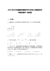 2025年辽宁省朝阳市第四中学九年级上学期四月中考模拟数学一模试题（含答案解析）