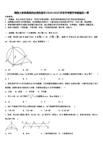 湘西土家族苗族自治州吉首市2024-2025学年中考数学考前最后一卷含解析
