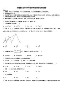 沧州市任丘市2025届中考数学模拟预测试卷含解析