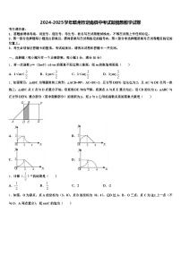 2024-2025学年赣州市定南县中考试题猜想数学试卷含解析