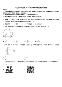三门峡市灵宝市2025年中考数学考试模拟冲刺卷含解析