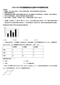 2024-2025学年西藏那曲地区比如县中考冲刺卷数学试题含解析