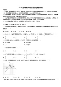 2025届曹县中考数学适应性模拟试题含解析