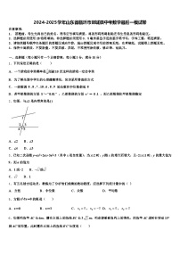 2024-2025学年山东省临沂市郯城县中考数学最后一模试卷含解析