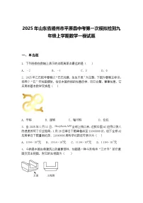 2025年山东省德州市平原县中考第一次模拟检测九年级上学期数学一模试题（含答案解析）