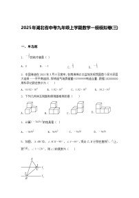 2025年湖北省中考九年级上学期数学一模模拟卷(三)（含答案解析）