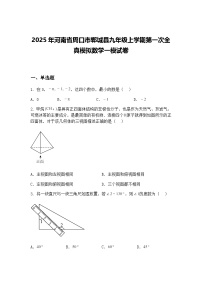 2025年河南省周口市郸城县九年级上学期第一次全真模拟数学一模试卷（含答案解析）