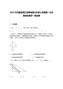 2025年河南省周口市郸城县九年级上学期第一次全真模拟数学一模试卷（含答案解析）