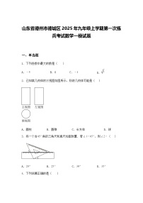 山东省德州市德城区2025年九年级上学期第一次练兵考试数学一模试题（含答案解析）