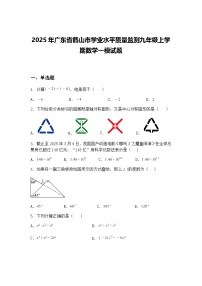 2025年广东省鹤山市学业水平质量监测九年级上学期数学一模试题（含答案解析）