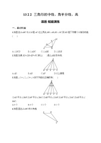 初中数学人教版（2024）八年级上册（2024）13.2.2 三角形的中线、角平分线、高精练