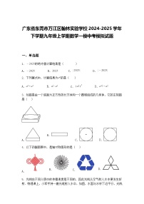 广东省东莞市万江区翰林实验学校2024-2025学年下学期九年级上学期数学一模中考模拟试题（含答案解析）