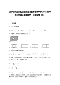 辽宁省抚顺市新宾满族自治县木奇镇中学2025年中考九年级上学期数学一模模拟卷（二）（含答案解析）
