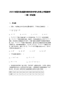 2025年四川省成都市崇州市中考九年级上学期数学一模一诊试题（含答案解析）