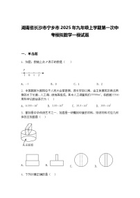 湖南省长沙市宁乡市2025年九年级上学期第一次中考模拟数学一模试题（含答案解析）
