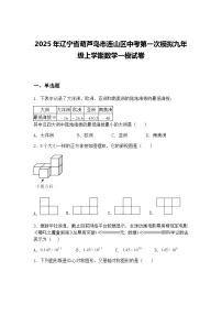 2025年辽宁省葫芦岛市连山区中考第一次模拟九年级上学期数学一模试卷（含答案解析）