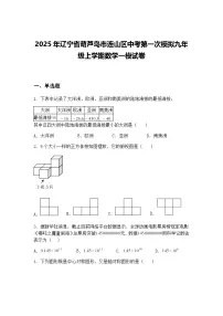 2025年辽宁省葫芦岛市连山区中考第一次模拟九年级上学期数学一模试卷（含答案解析）