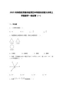2025年陕西省渭南市临渭区中考模拟训练九年级上学期数学一模试卷（一）（含答案解析）