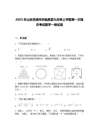 2025年山东省德州市临邑县九年级上学期第一次练兵考试数学一模试题（含答案解析）