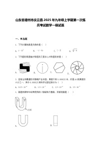 山东省德州市庆云县2025年九年级上学期第一次练兵考试数学一模试题（含答案解析）