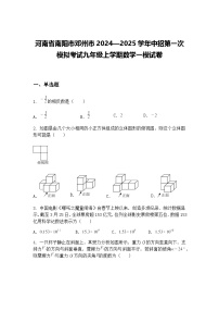 河南省南阳市邓州市2024—2025学年中招第一次模拟考试九年级上学期数学一模试卷（含答案解析）
