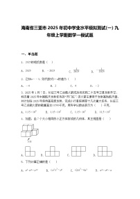 海南省三亚市2025年初中学业水平模拟测试(一）九年级上学期数学一模试题（含答案解析）