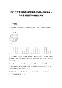 2025年辽宁省抚顺市新宾满族自治县木奇镇中学九年级上学期数学一模模拟试卷（含答案解析）