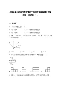2025年河北省初中学业水平模拟考试九年级上学期数学一模试卷〈1〉（含答案解析）