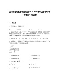 四川省德阳五中教育集团2025年九年级上学期中考一诊数学一模试卷（含答案解析）