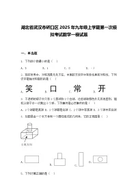 湖北省武汉市硚口区2025年九年级上学期第一次模拟考试数学一模试题（含答案解析）