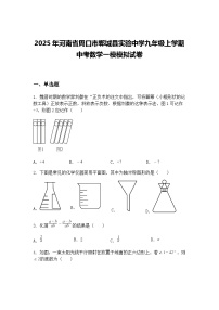 2025年河南省周口市郸城县实验中学九年级上学期中考数学一模模拟试卷（含答案解析）