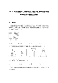 2025年河南省周口市郸城县实验中学九年级上学期中考数学一模模拟试卷（含答案解析）