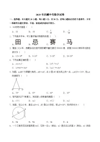 2025年西藏中考数学真题（含答案）