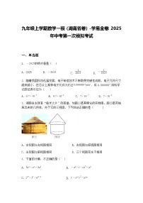 九年级上学期数学一模（湖南省卷）2025年中考第一次模拟考试（含答案解析）
