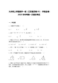 九年级上学期数学一模（江苏南京卷01）2025年中考第一次模拟考试（含答案解析）