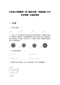 九年级上学期数学一模(黑龙江卷)2025年中考第一次模拟考试(含答案解析)