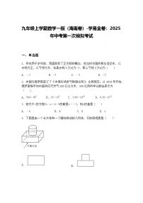 九年级上学期数学一模（海南卷）2025年中考第一次模拟考试（含答案解析）