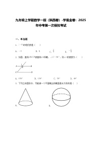 九年级上学期数学一模（陕西卷）2025年中考第一次模拟考试（含答案解析）