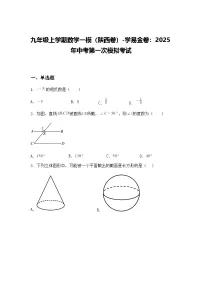 九年级上学期数学一模（陕西卷）2025年中考第一次模拟考试（含答案解析）