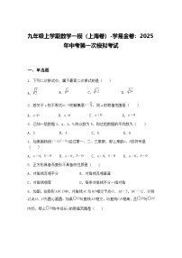 九年级上学期数学一模（上海卷）2025年中考第一次模拟考试（含答案解析）