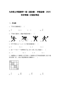 九年级上学期数学一模（湖北卷）2025年中考第一次模拟考试（含答案解析）