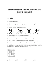 九年级上学期数学一模（湖北卷）2025年中考第一次模拟考试（含答案解析）