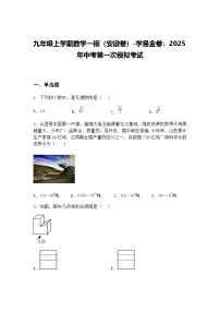 九年级上学期数学一模（安徽卷）2025年中考第一次模拟考试（含答案解析）