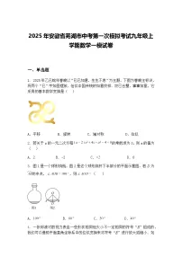 2025年安徽省芜湖市中考第一次模拟考试九年级上学期数学一模试卷（含答案解析）