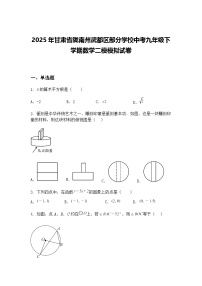 2025年甘肃省陇南州武都区部分学校中考九年级下学期数学二模模拟试卷（含答案解析）