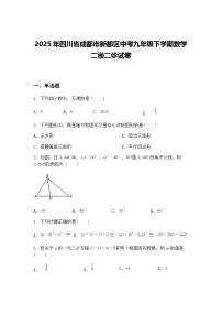 2025年四川省成都市新都区中考九年级下学期数学二模二诊试卷（含答案解析）