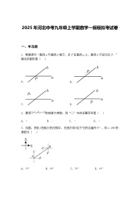 2025年河北中考九年级上学期数学一模模拟考试卷（含答案解析）