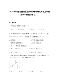 2025年内蒙古自治区包头市中考试卷九年级上学期数学一模模拟卷（二）（含答案解析）