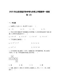 2025年山东省临沂市中考九年级上学期数学一模模拟（2）（含答案解析）